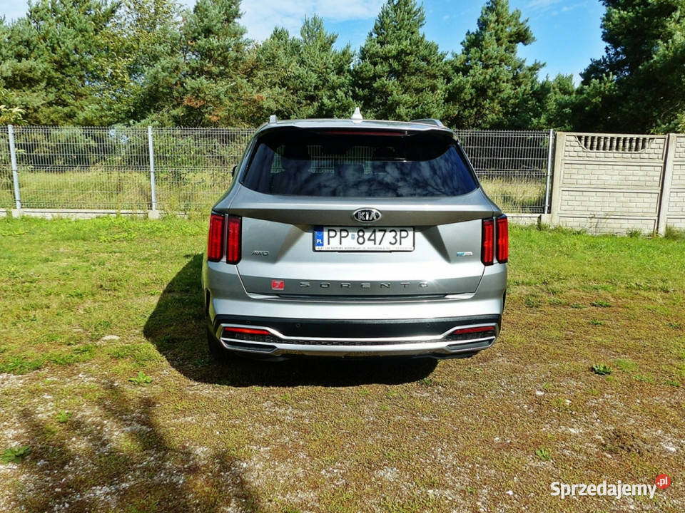 Kia Sorento 16 TGDI HEV wielkopolskie