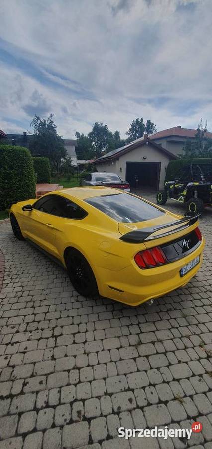 Ford Mustang 37 benzyna piękny 2015 nieuszkodzony Cisiec