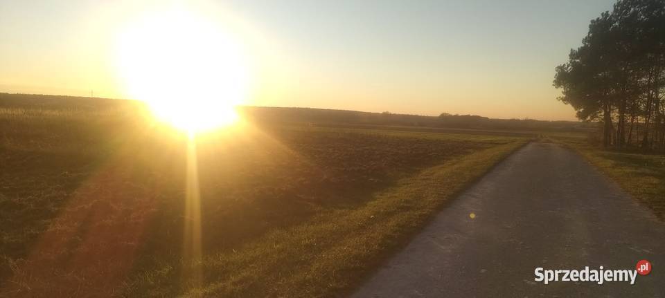 MPZP Niwki ladna drodze asfaltowej Zwoleń sprzedam