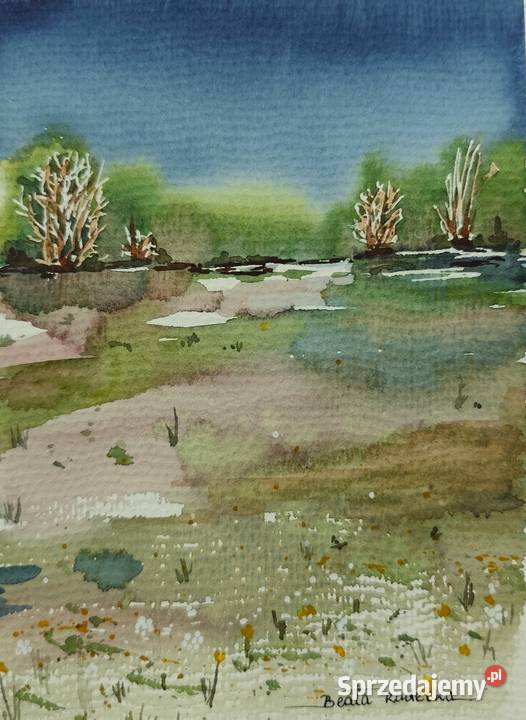 Akwarela Akwarelka Obraz pt Granatowa Cisza 135 Opole