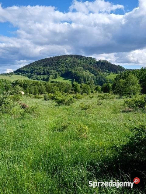 Ogłoszenie działka Łomnica