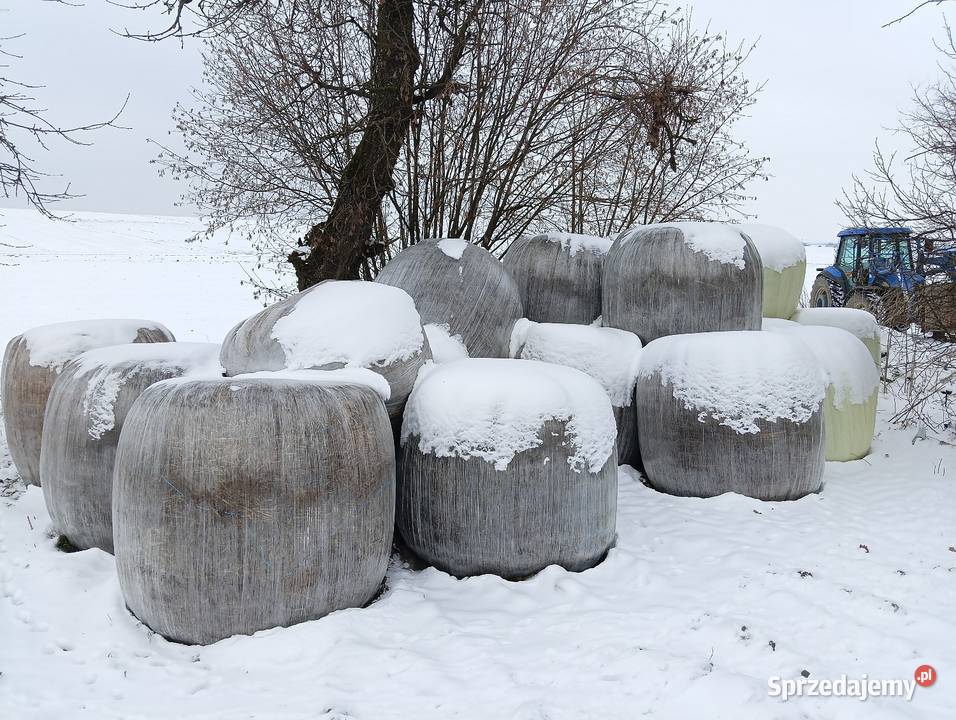 Sianokiszonka 1 i 3 pokos Małoszyce