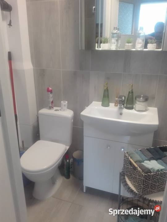 Wynajem lokalu Wynajem Zielonka sprzedam