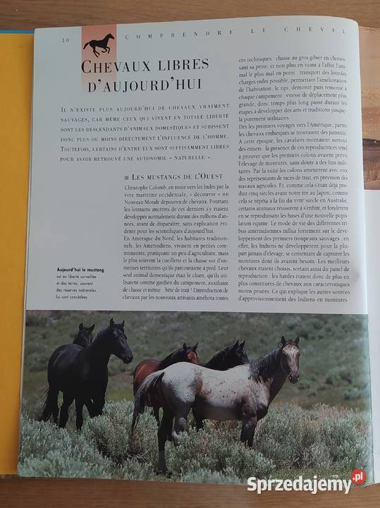 Konie i kucyki Larousse Bertrand de Perthuis Hajnówka