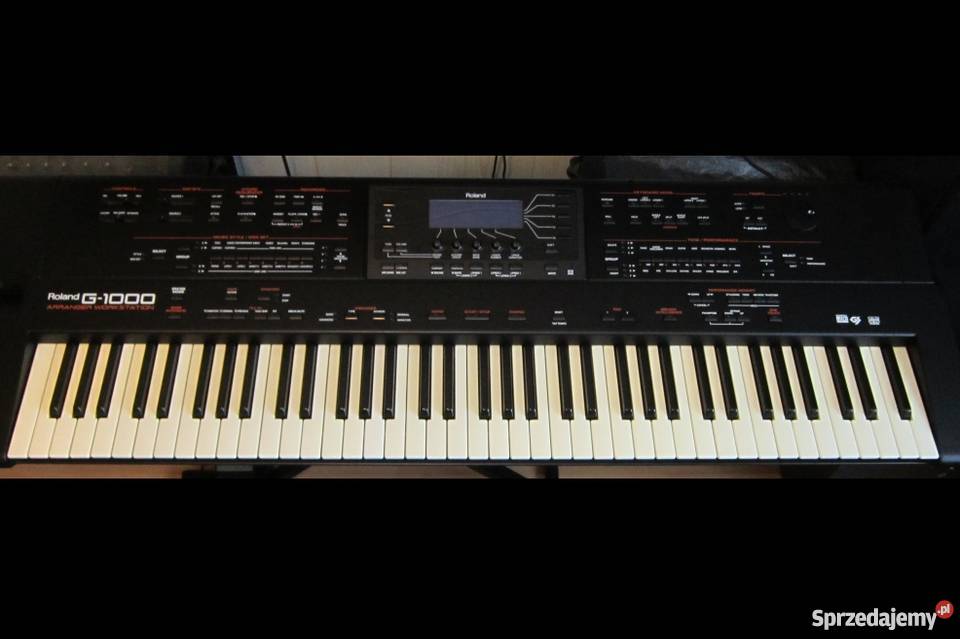 Roland G1000 Tychy
