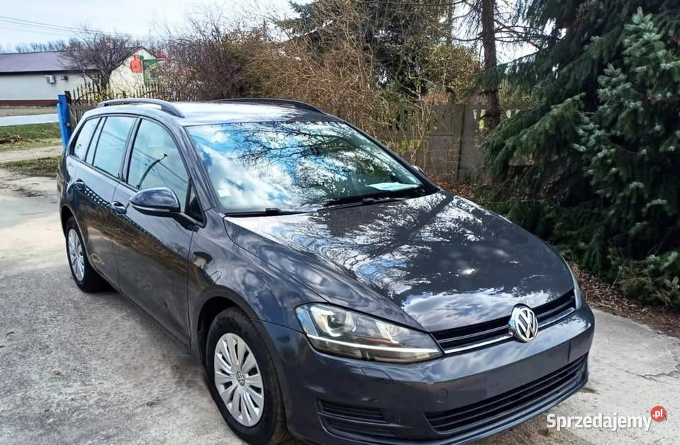 Volkswagen Golf 16 TDI 110 Rok produkcji 2015