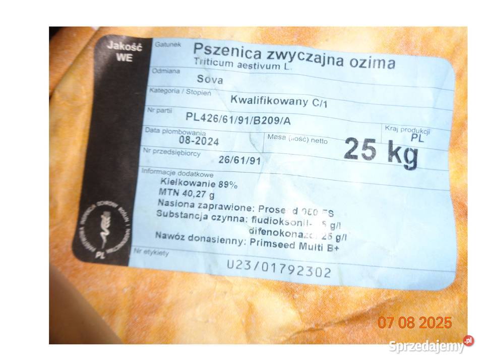 Pszenice zimowe owies czarny centrali Ładne