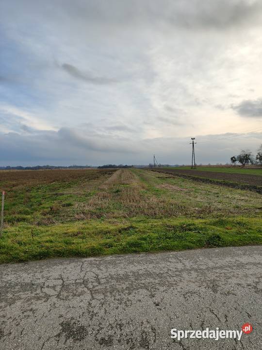 Działka budowlana w miejscowości Wygoda z 25zł/m2 mazowieckie Policzna sprzedam