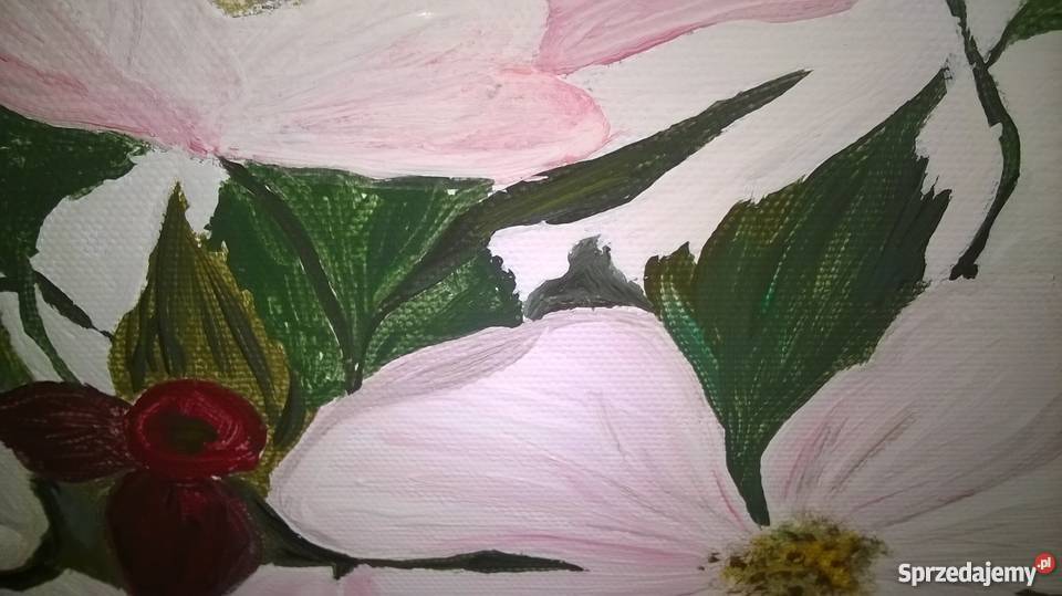 Obraz akryl Gałąź Dzikiej Róży Oleśnica