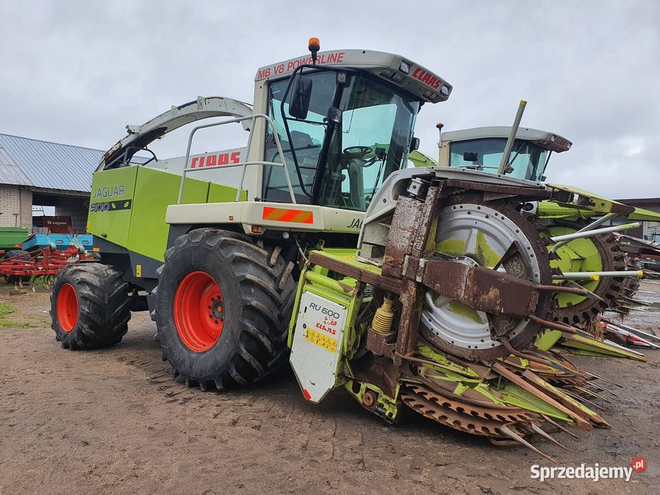Claas Jaguar 890 840 sprowadzona dopieszczona Kolnica