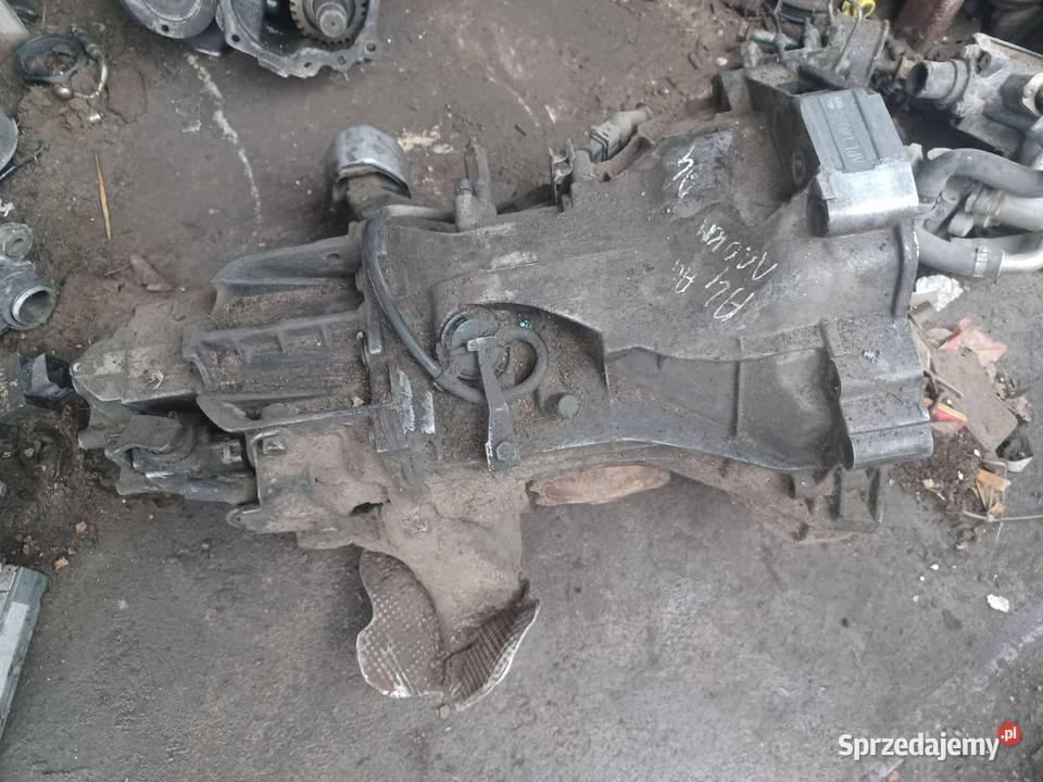 Skrzynia Biegów Audi A4 B5 19 110 Pogorzelec