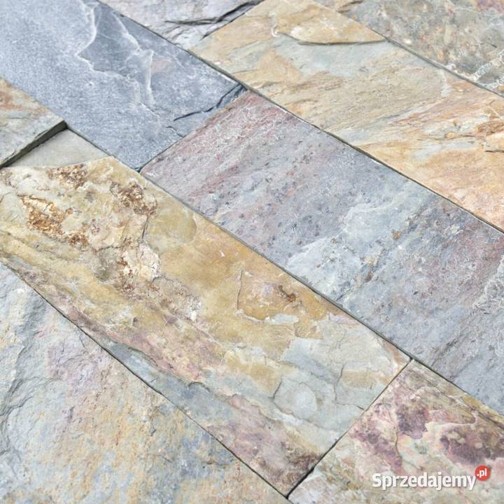 Płytki łupek Jaipur Multi naturalny 10x30x0813 Gdynia