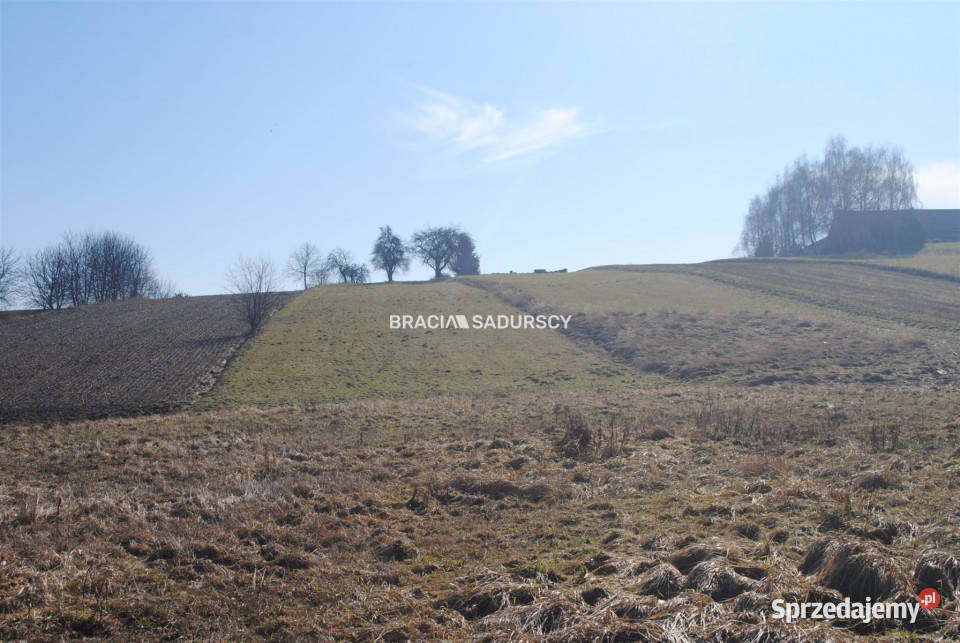 Sprzedaż gruntu Bodzanów 6650 metrów małopolskie