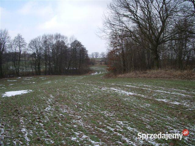 Super DziałkI z Linią brzegową Wjazd droga 4129m2 Kaszewo