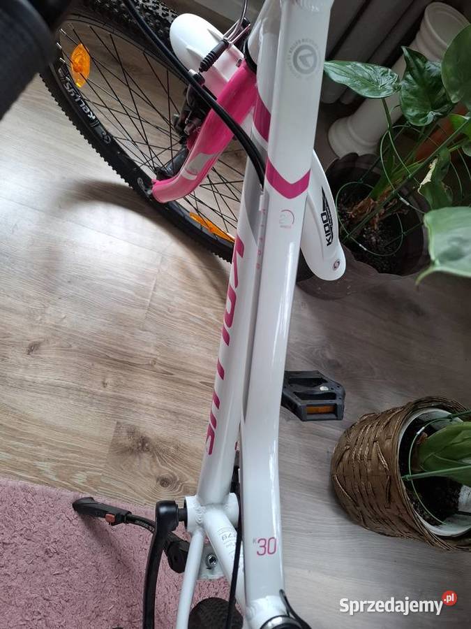 Rower kellys 24 opolskie Korfantów