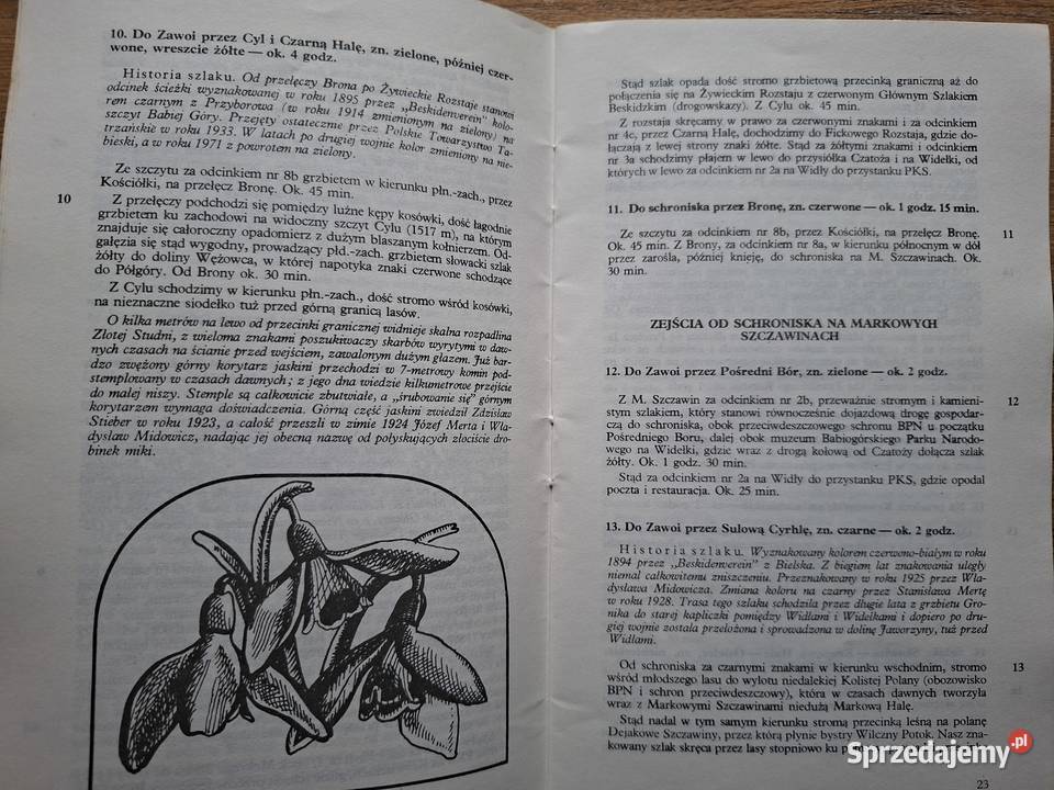 Szlaki Babiej Góry W Midowicz miękka Kraków