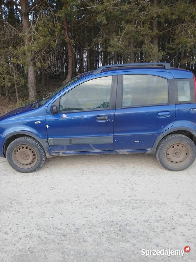 Fiat Panda Climbing 4x4 12 2005r Rok produkcji 2005 Borki