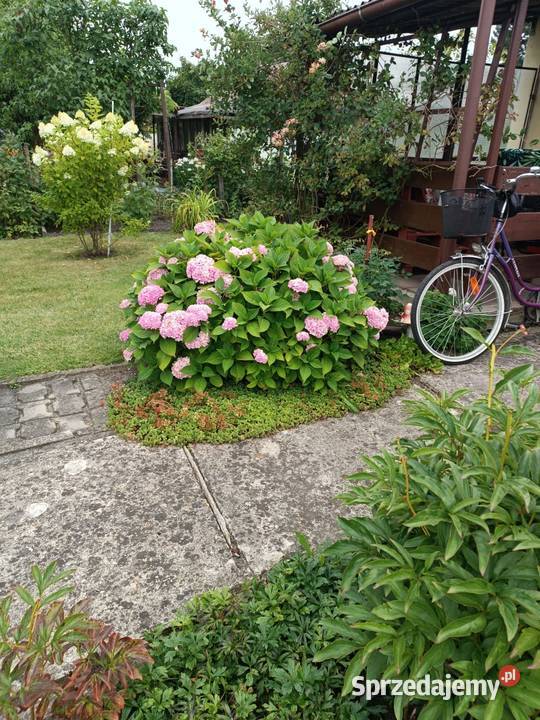 Sprzedam działkę Rodo Zabrze