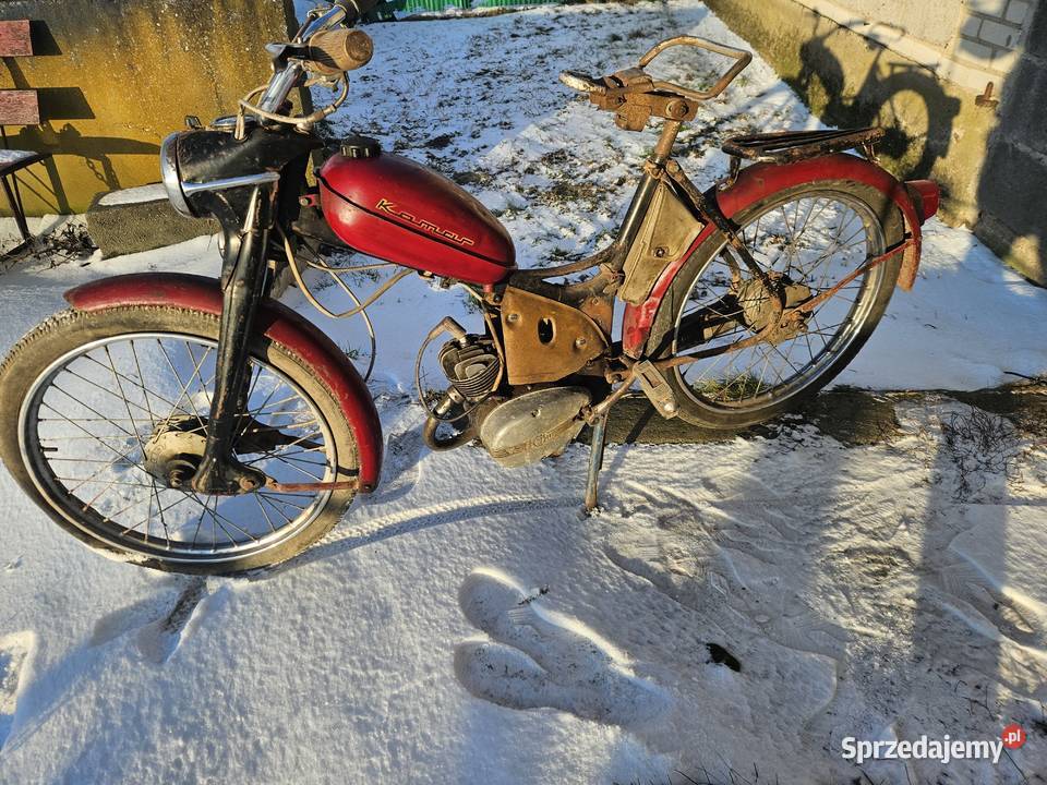 Komar sztywniak 2320 Oryginał Kłodawa