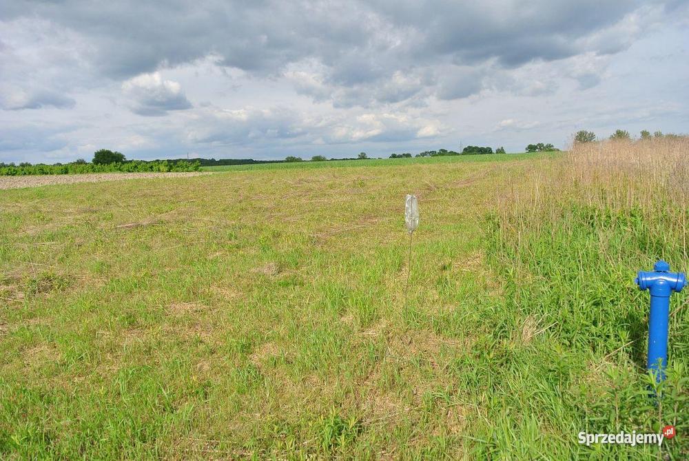 Działka Pierwoszów 1 690 m 104zł/m2 Pierwoszów