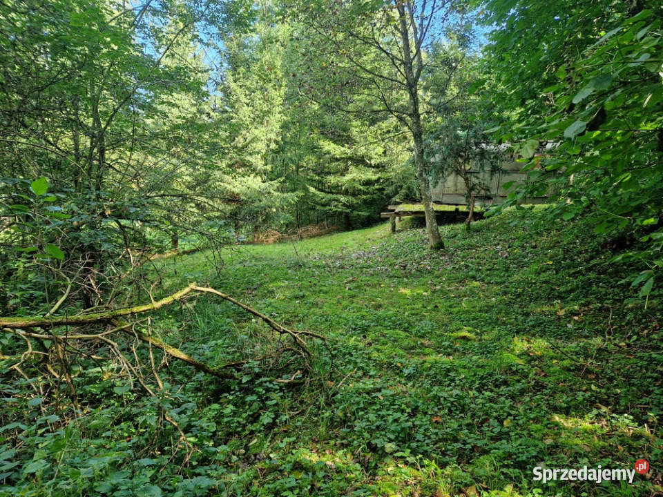 działka rekreacyjna jeziorem Sprzedaż Lubasz