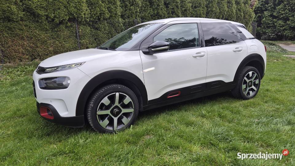 C4 CACTUS 12 110 OPŁACONY nieuszkodzony Rzeszów sprzedam