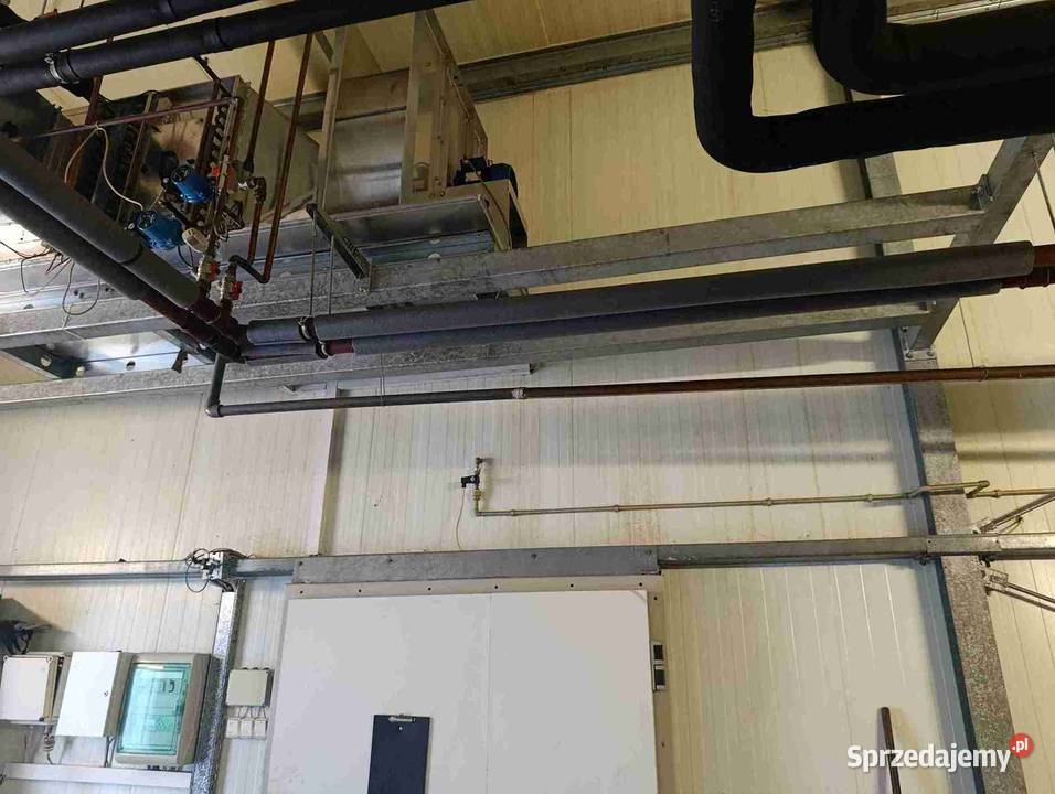 Sprzedam regaly i wyposażenie pieczerkarni Grójec