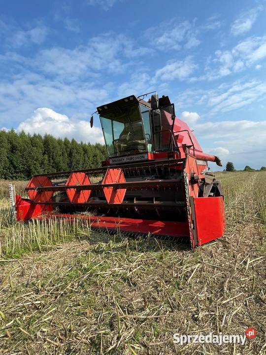 Massey Ferguson 31xp Dronningborg Massey Ferguson Mikoszewo