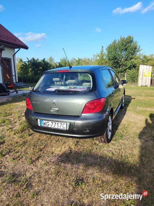 Peugeot 307 16 benzyna 307 Wilga