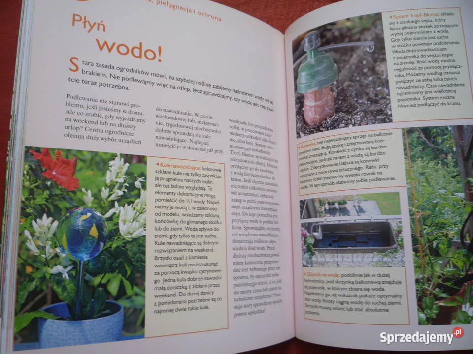 Nowa Balkony Piękne Ogrody Poradnik Rok wydania 2010 Poradniki, albumy i reportaże zachodniopomorskie Szczecin