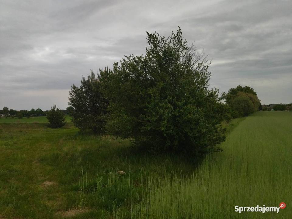 Działka budowlana zachodniopomorskie Świerczyna