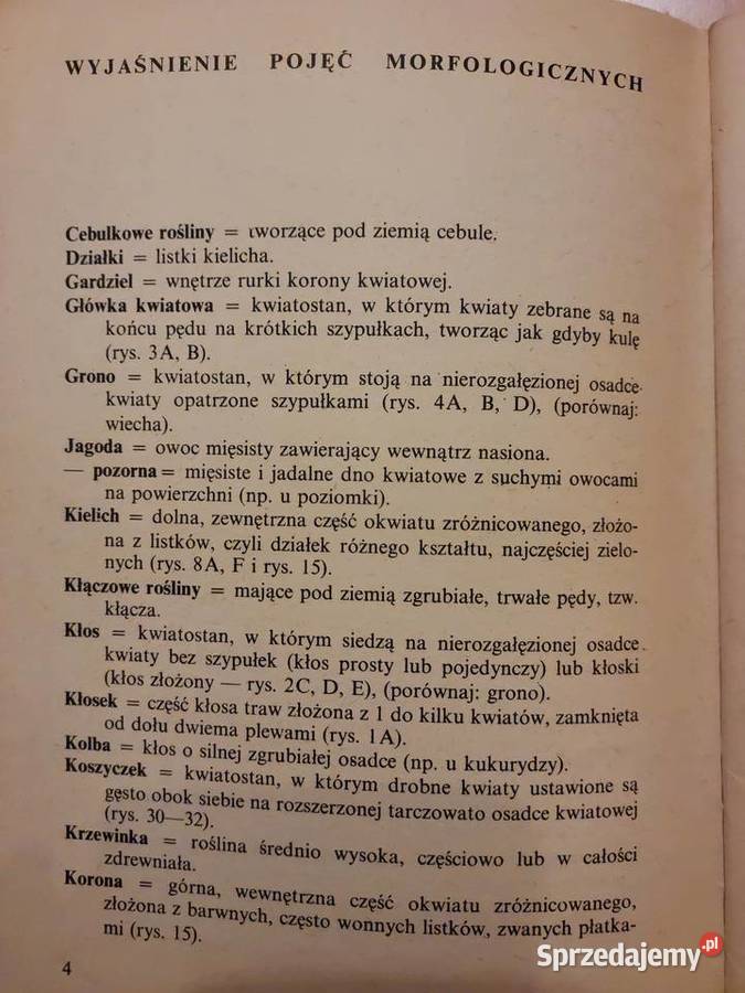 Janina Szaferowa Poznaj 100 roślin Wrocław