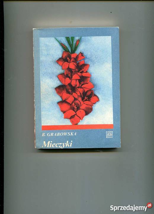 Mieczyki Szczecin sprzedam