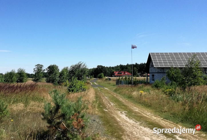 Ostatnia działka jeziorem w Wielkopolsce Mościszki