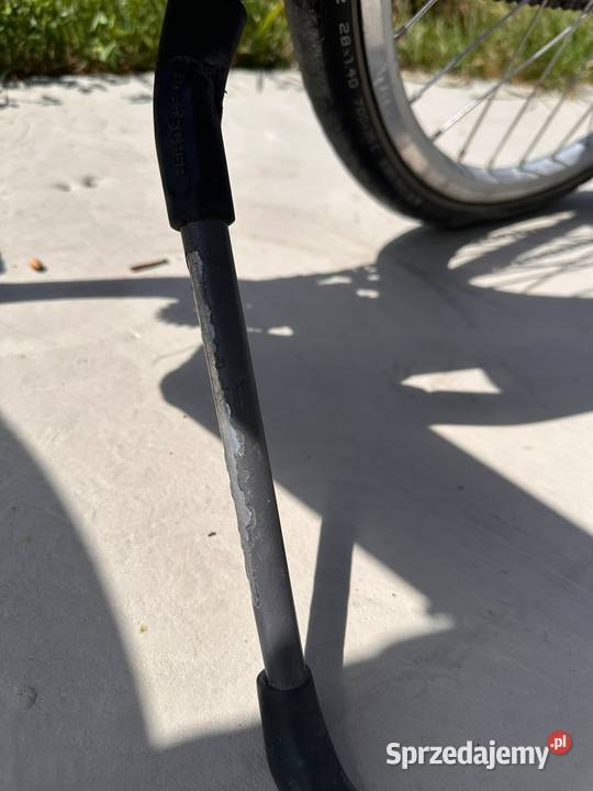 Tesla Koga Miyata rower elektryczny