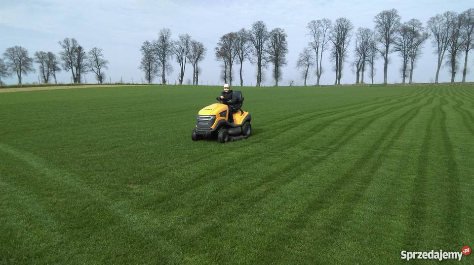 trawa z rolki producent Kętrzyn