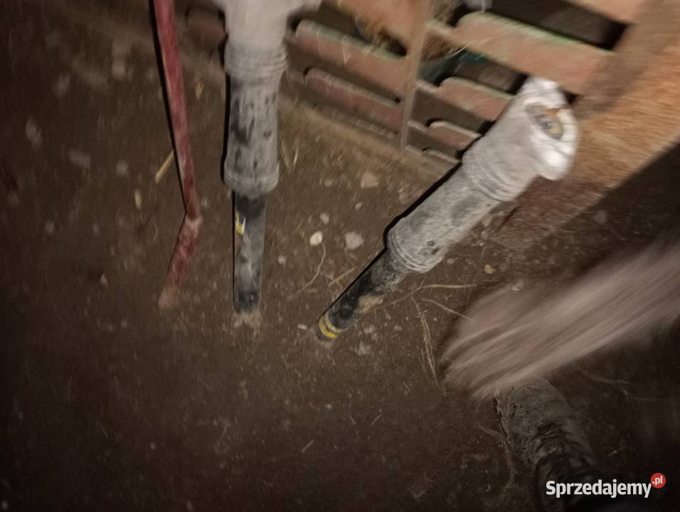 amortyzatory tyl hiundai i30 łódzkie Wieluń