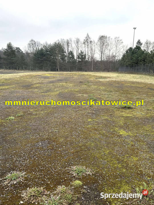 Działki utwardzone z mediami do 6000 m2 do Jaworzno