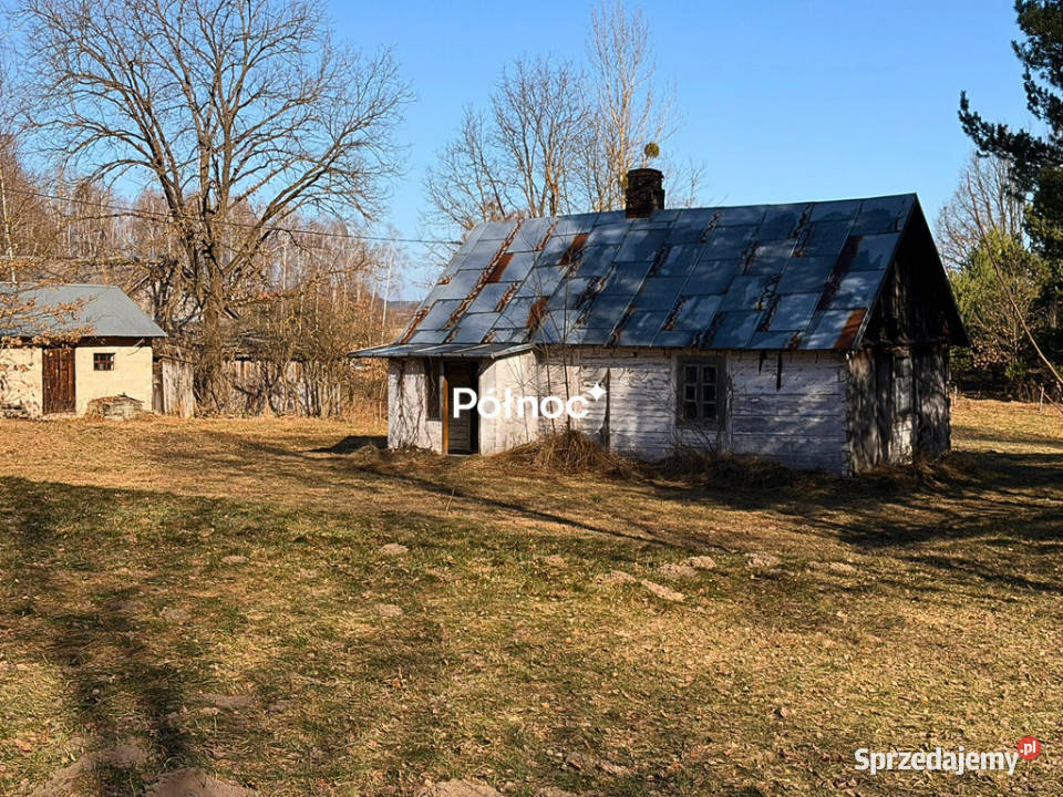 Siedlisko z lasem Ruda Kolonia 5min d0 Ruda-Kolonia