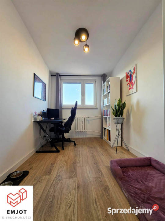 Mieszkanie Zduńska Wola 47m2 3pokojowe Liczba pokoi 3 sprzedam