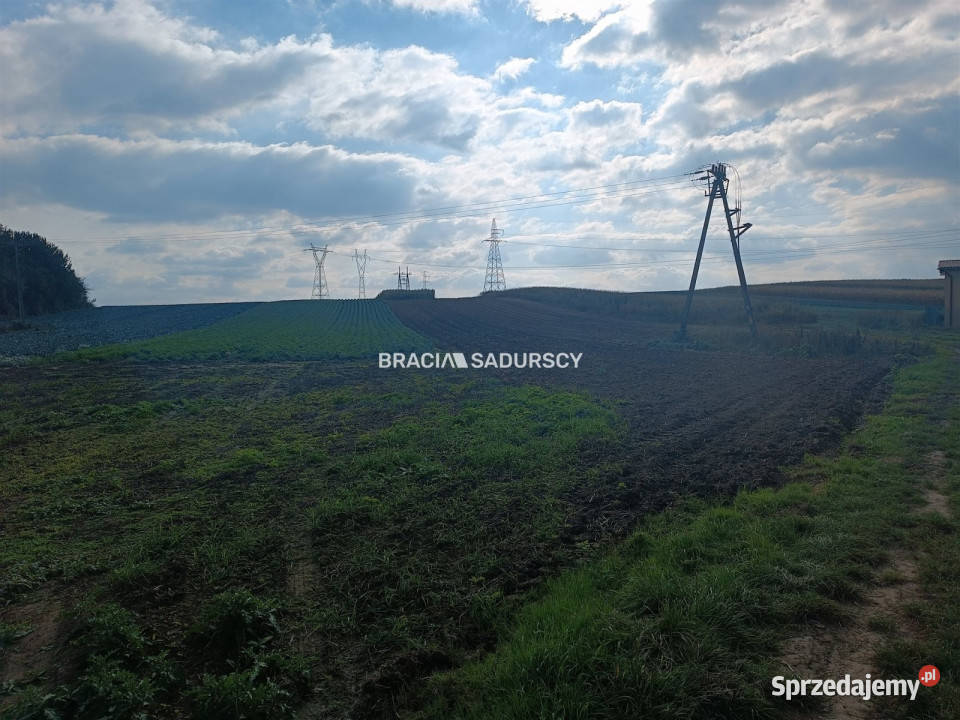 Działka Proszowice 9901m2