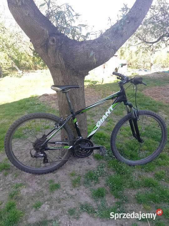 Giant aluxx 6000 26 Górskie, MTB Pawliczka