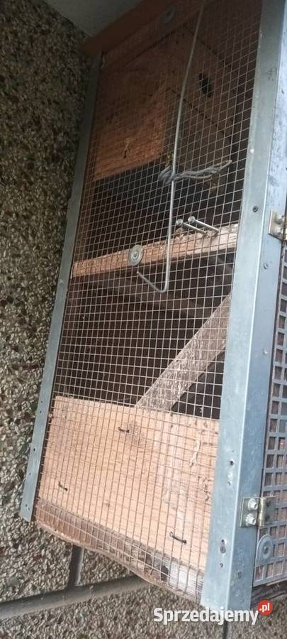Klatka 3budki papug i innych ptaków Zwierzęta Zakliczyn