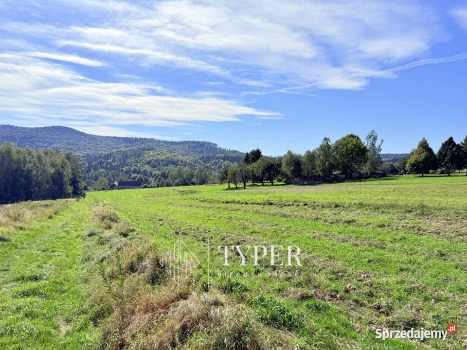 Działka Ryglice 77 arów