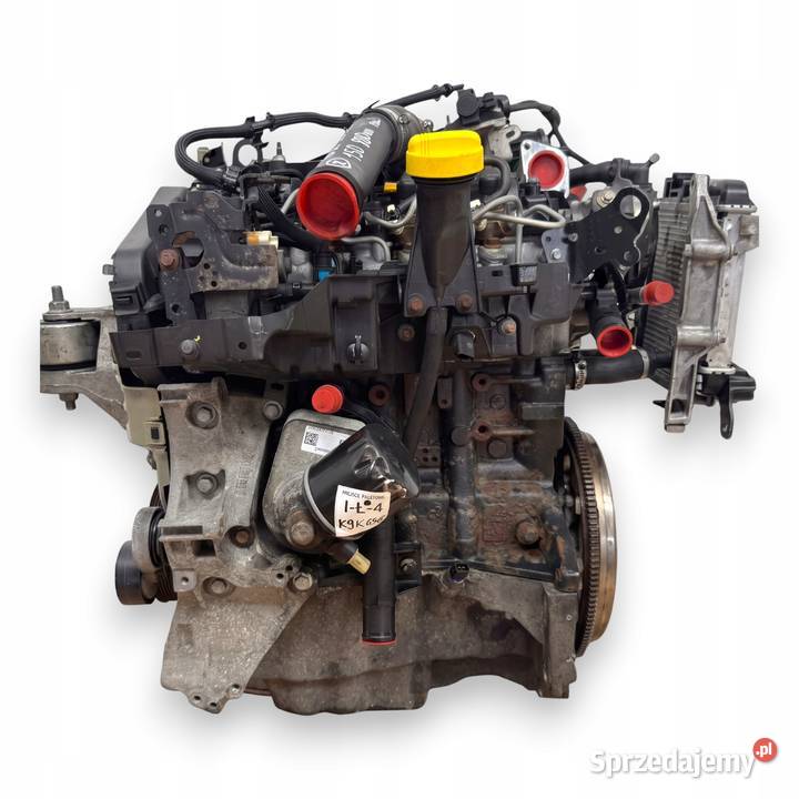 SILNIK K9K646 Nissan Juke F15 NV200 Qashqai II osobowe lubelskie Chełm