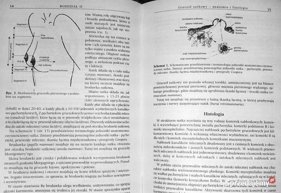 Choroby gruczołu sutkowego menopauza Roman Chełm sprzedam