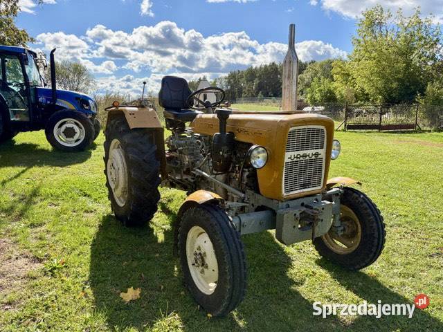 Ursus C330 1979 nowego w gospodarstwie Korycin sprzedam