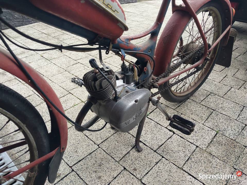 Komar sztywniak Komar Cieszyn sprzedam