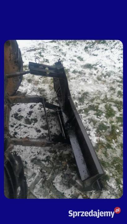 sprzedam pug śnieżny Wawrzeńczyce sprzedam