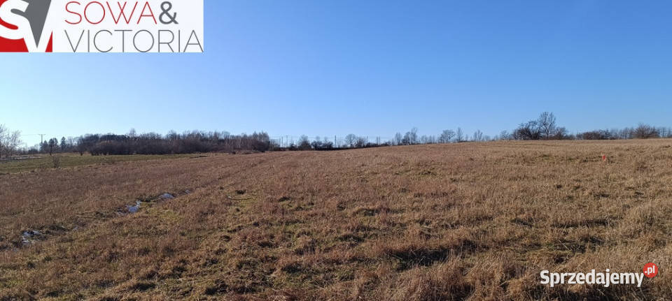 Słoneczna działka budowlana w Szczawnie Zdroju Szczawno-Zdrój